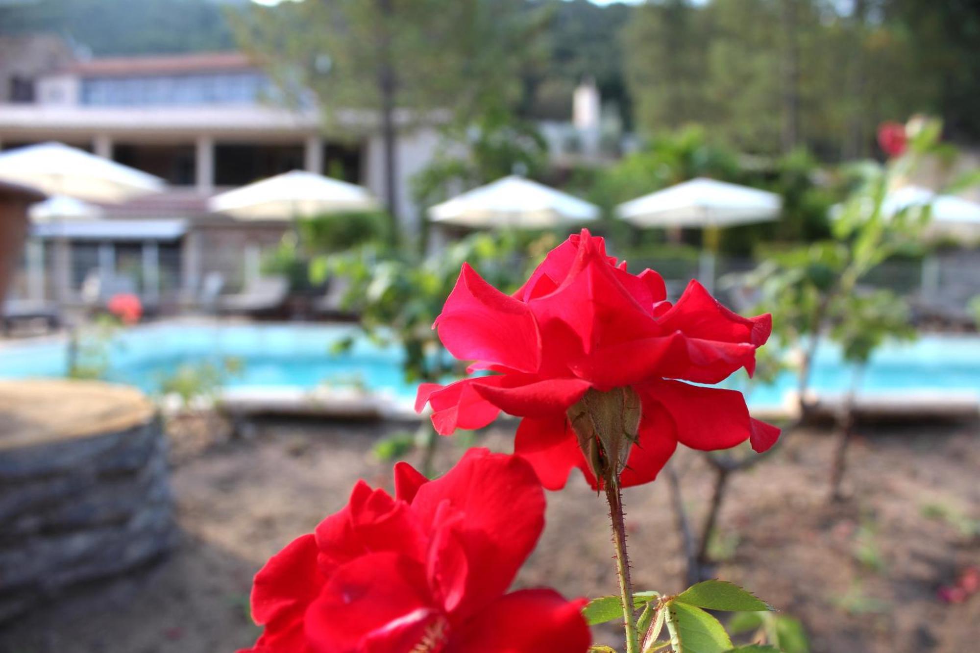 Hotel Domaine De L'oriu